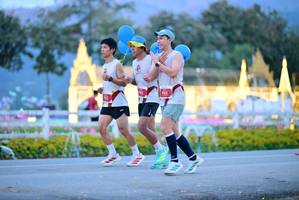 BIB: 
                            <button type="button" onclick="openModal(27826904)" class="btn btn-primary btn-sm float-right btn-popup" data-toggle="modal" data-target=".modal-high-quality">
                        <i class="fas fa-shopping-cart"></i> Add to Cart
                    </button>
                                            <button type="button" onclick="isThisMe(27826904, true)" class="btn btn-success btn-sm float-right btn-popup btn-isme hidden" data-toggle="tooltip" data-placement="bottom" title="นี่คือรูปของคุณใช่ไหม คลิกที่นี่เพื่อเอาเข้าอัลบั้ม">
                        <i class="fas fa-plus"></i> Add to album
                    </button>
                    <button type="button" onclick="isThisMe(27826904, false)" class="btn btn-warning btn-sm float-right btn-popup btn-isnotme hidden">
                        <i class="fas fa-ban"></i> Remove from album
                    </button>